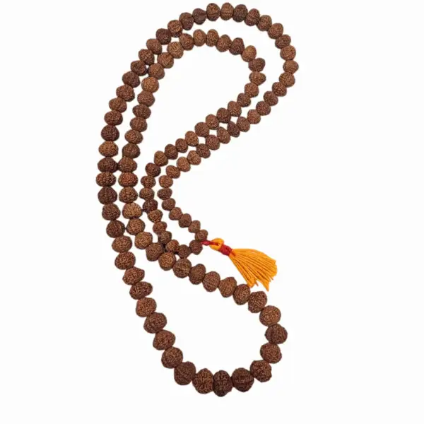 12 Mukhi Rudraksha Mala - Image 2