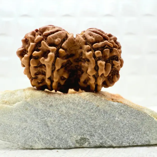 Gaurishankar Rudraksha Nepal front