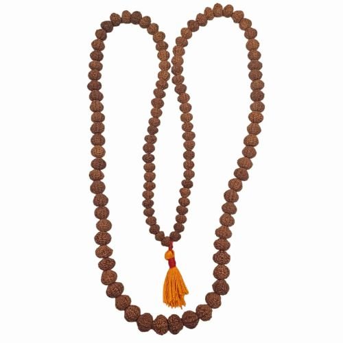 12 Mukhi Rudraksha Mala
