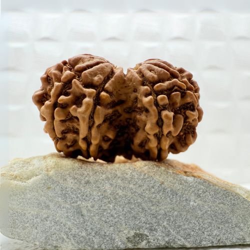 Gaurishankar Rudraksha Nepal